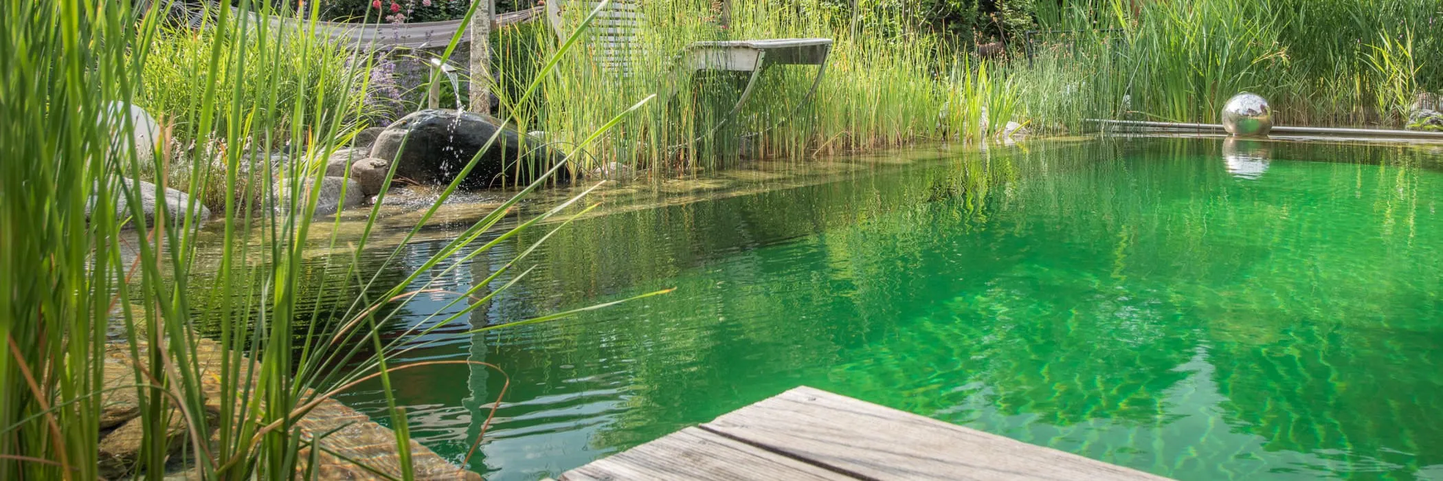 Naturpoolbau