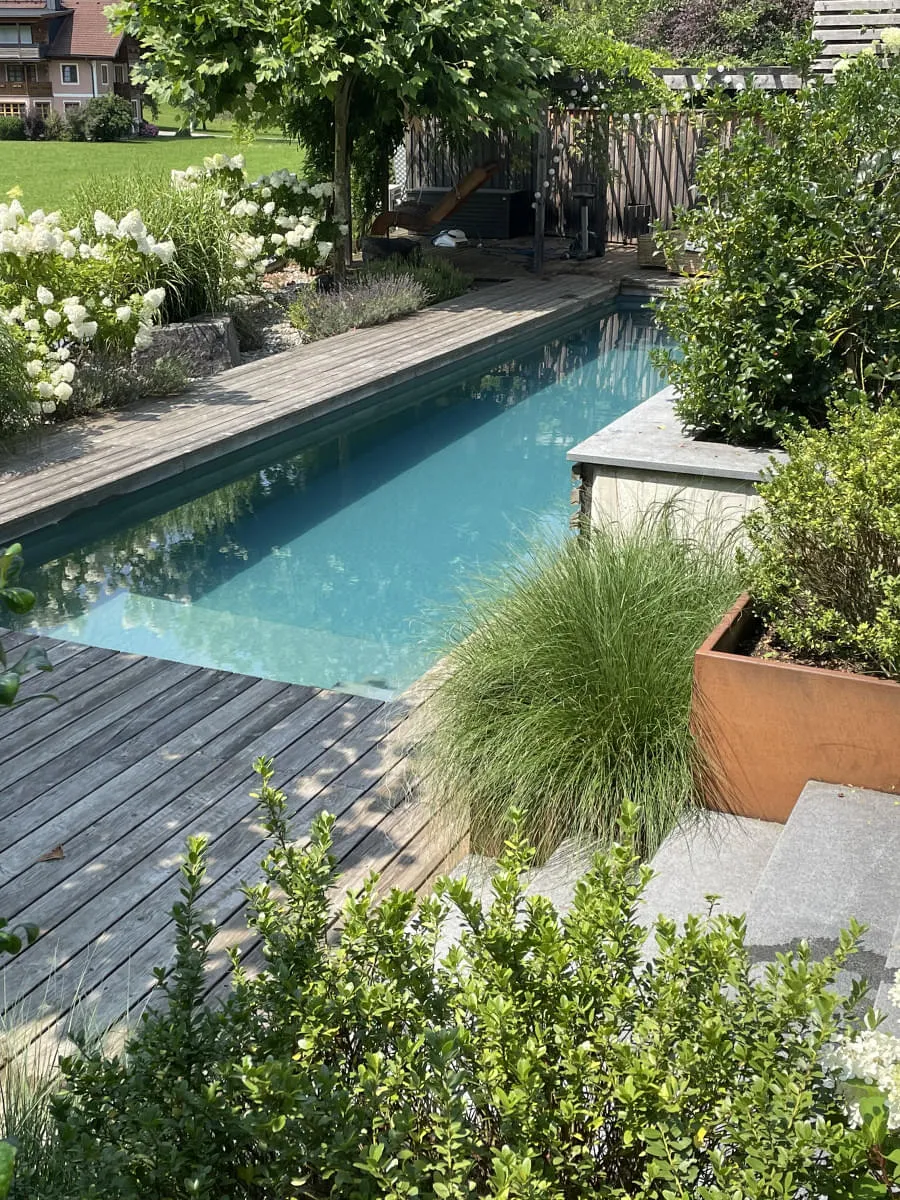 Naturpool von der Planung zum Baden