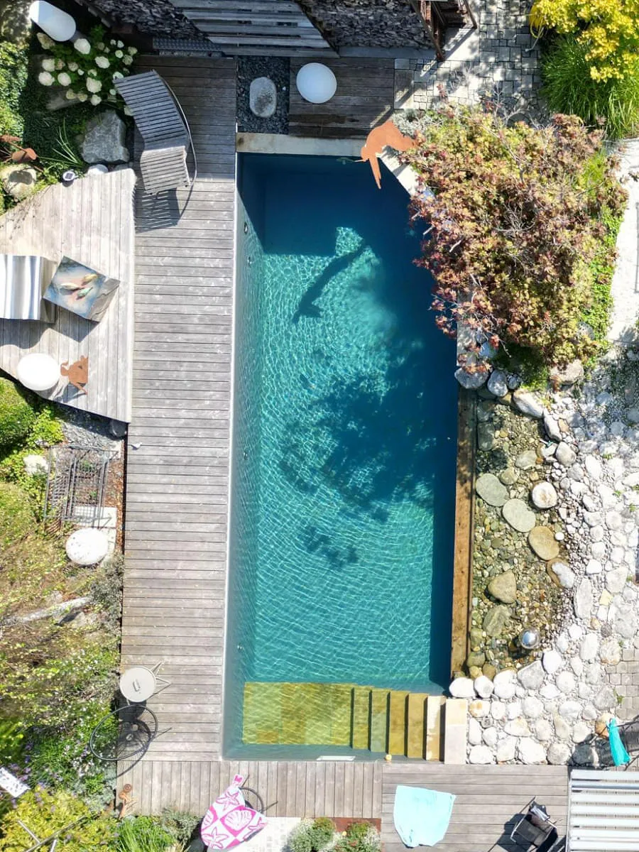 Moderner Naturpool mit klarer Linie