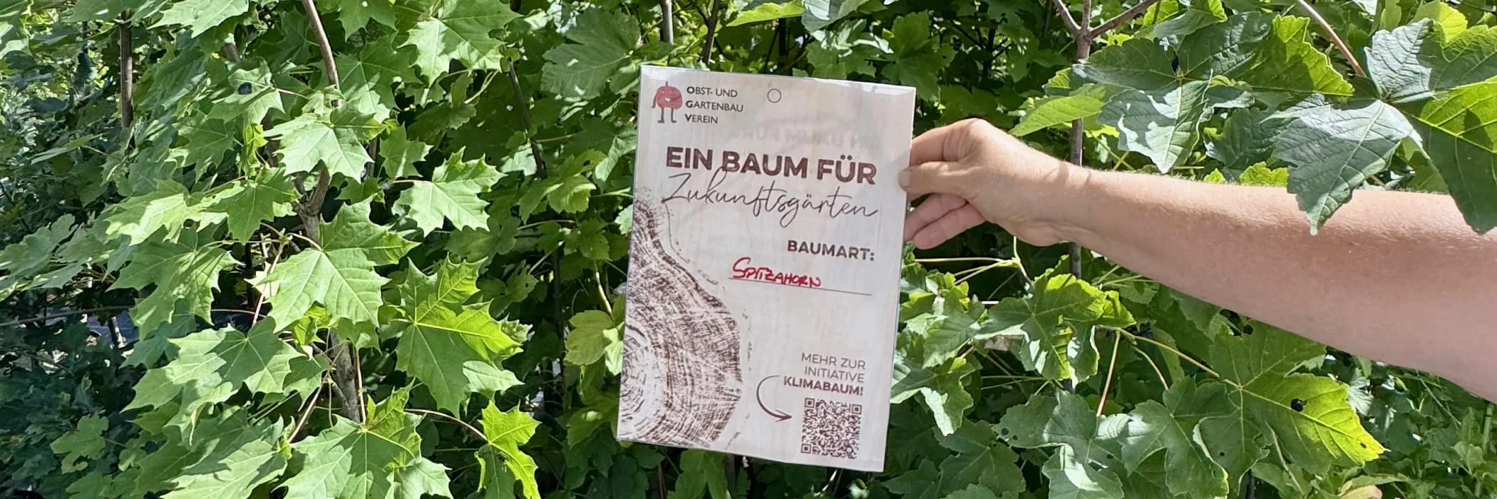Baum für Zukunftsgärten
