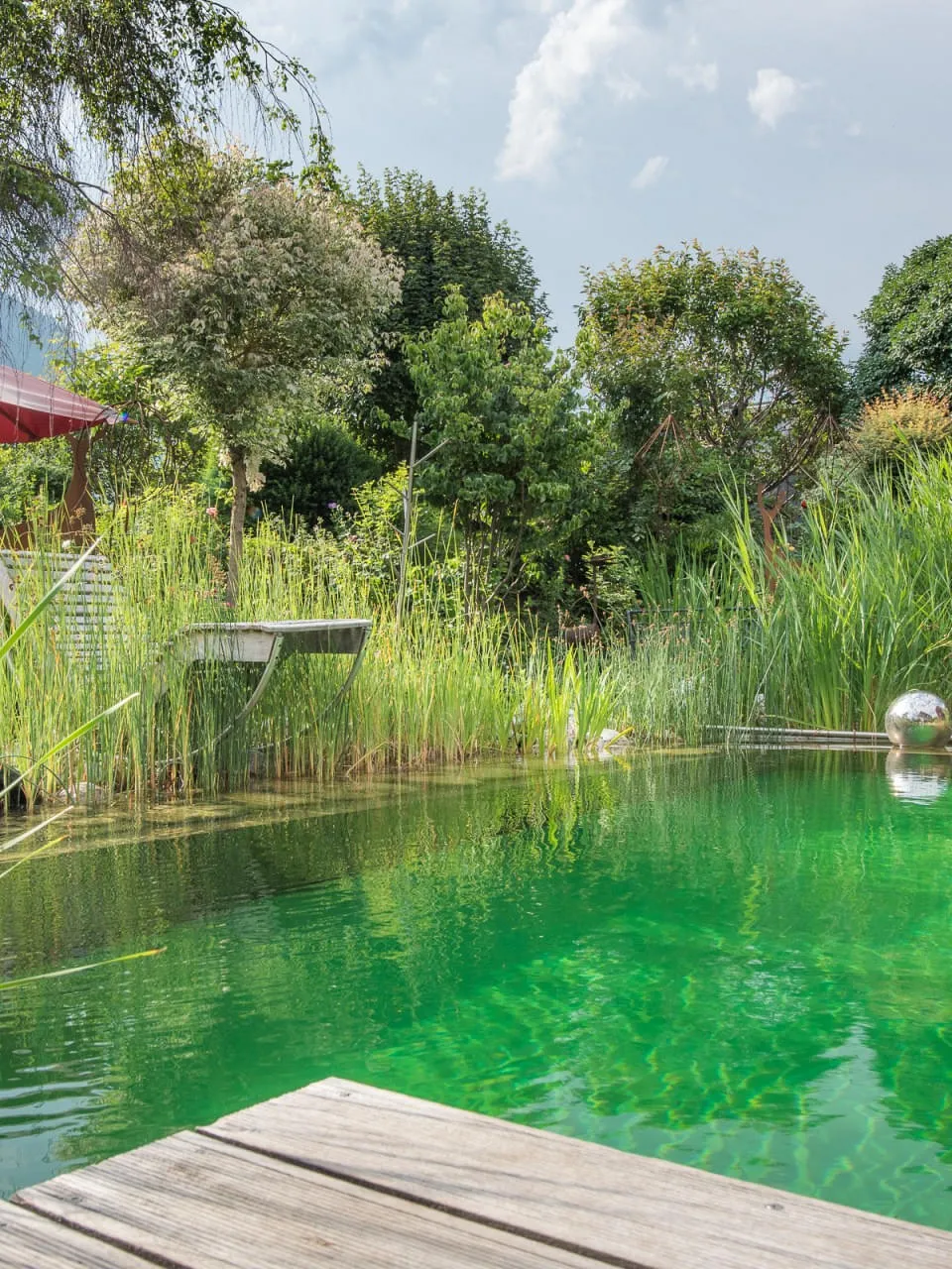  Naturpool Organisch Natürlich 